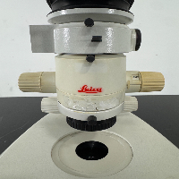 Leica MZ6 Stereo Microscope image 3